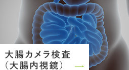 大腸カメラ検査（大腸内視鏡）